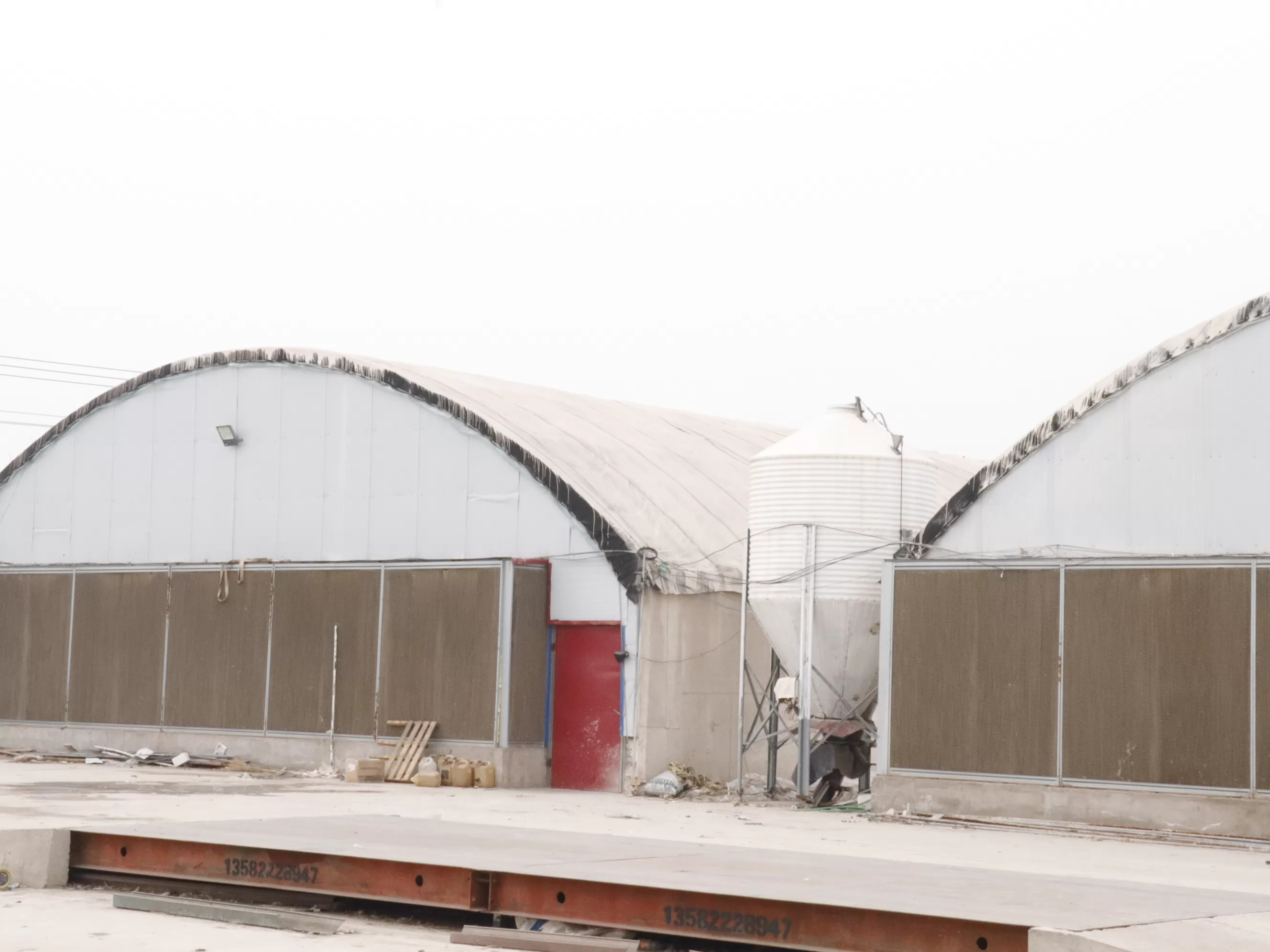 How to Plan a Chicken House for 100,000 Laying Hens