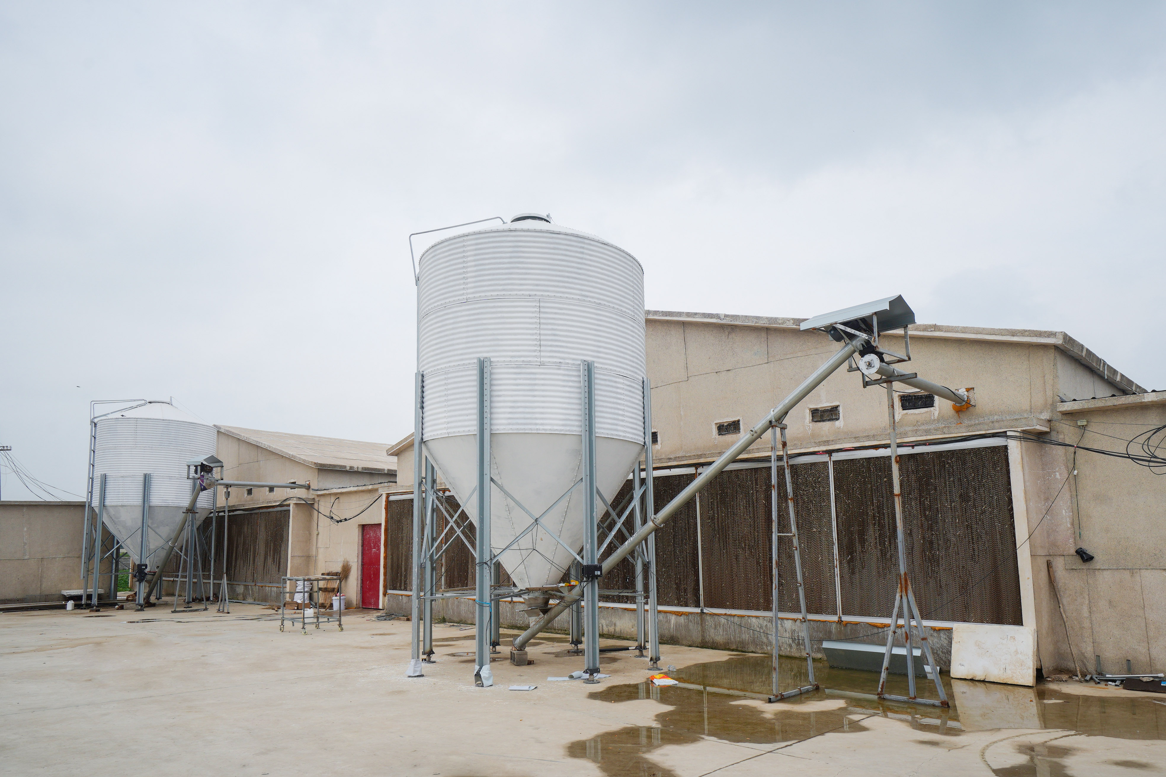 Differences, Advantages, and Disadvantages of Closed and Open Chicken Houses