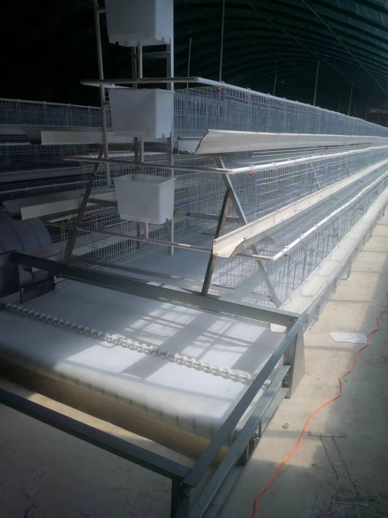 tacked Chicken Cages vs. Stepped Chicken Cages: Which Is Best for Your Poultry Farm?
