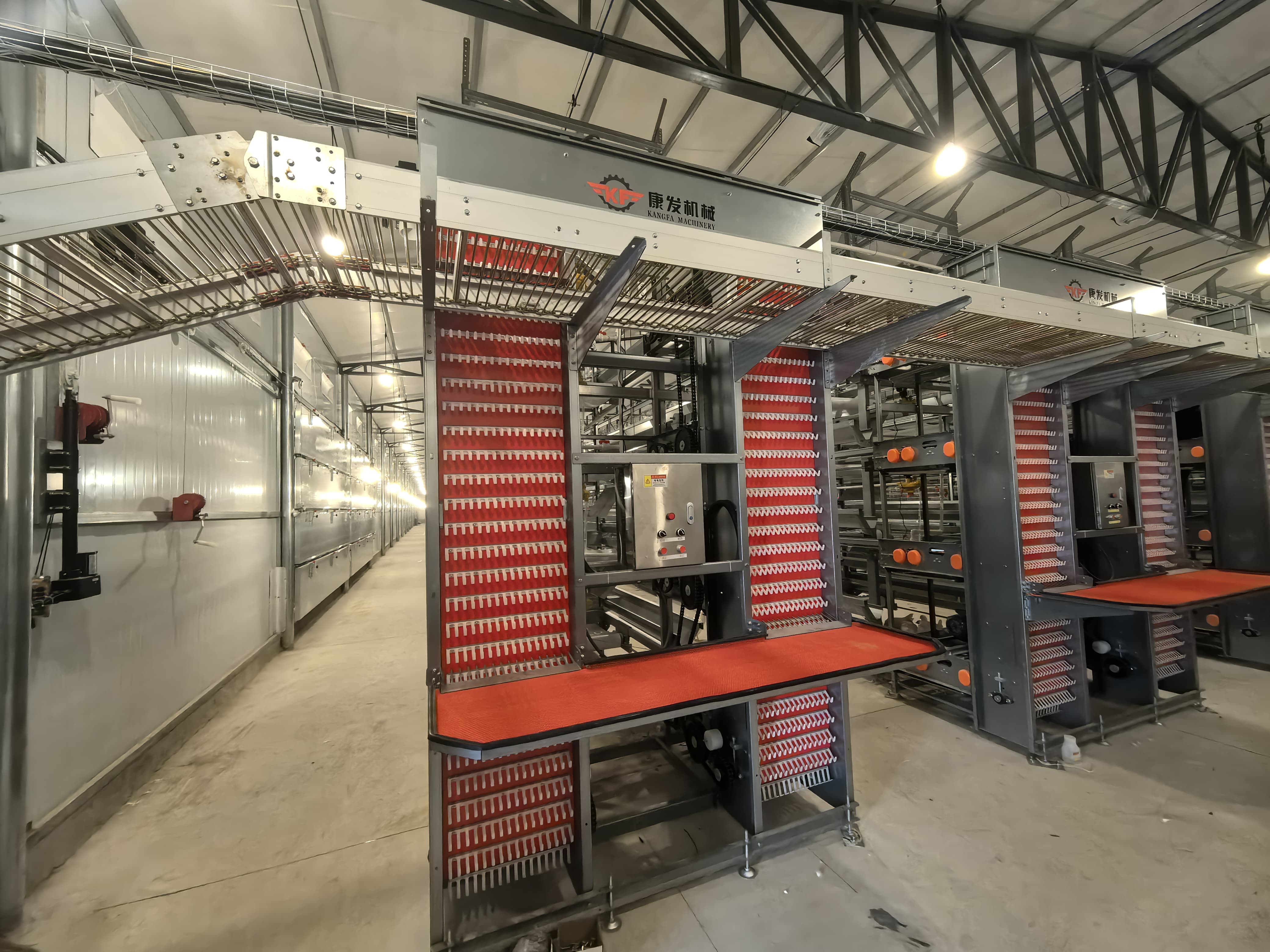 Why Modern Poultry Farming Depends on Chicken Cages