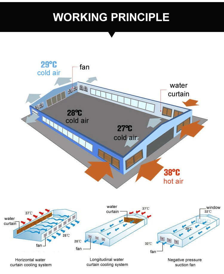Everything You Need to Know About Premium Chicken Cage Platform