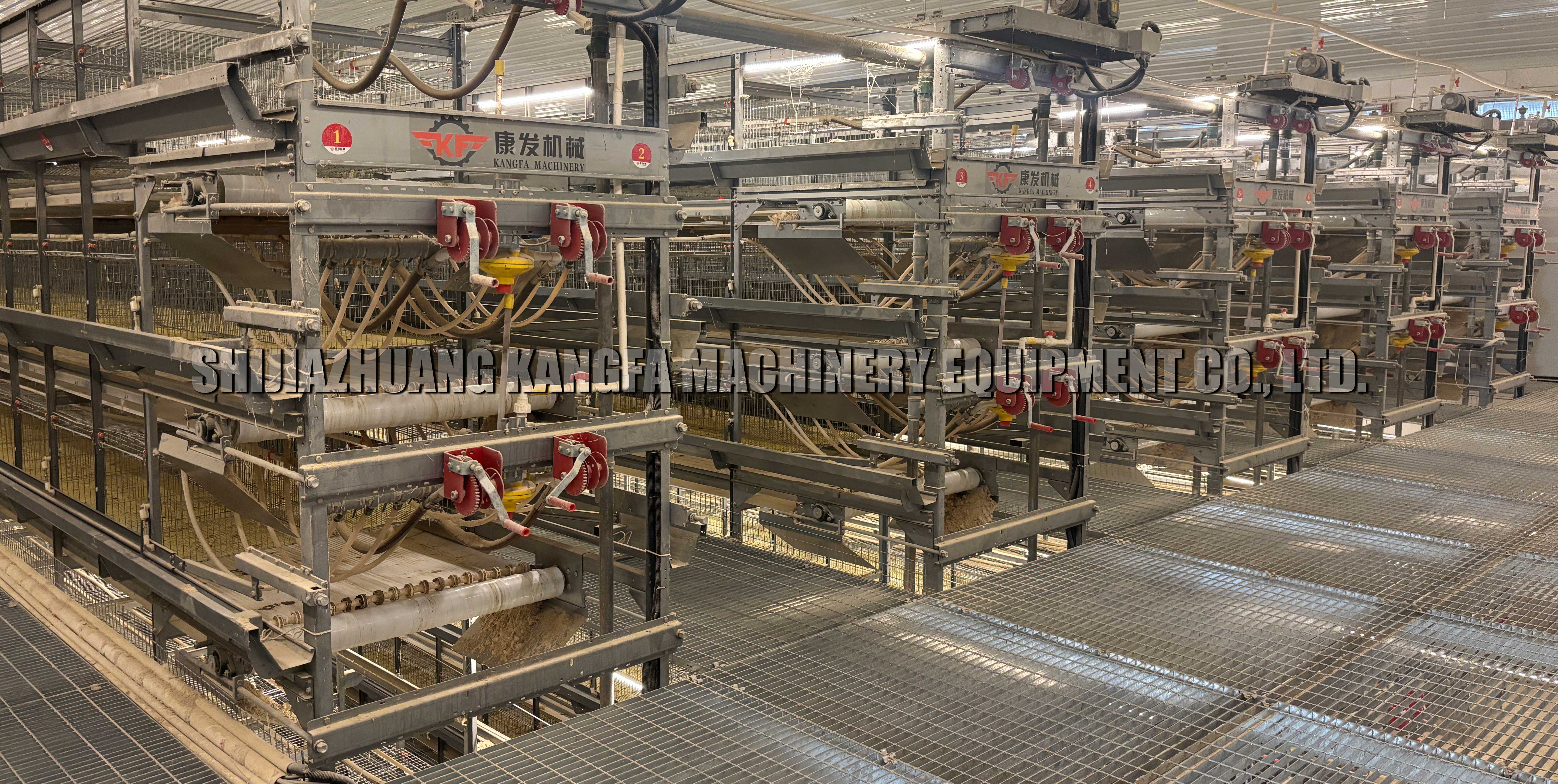 How to Choose Chicken Cage Equipment: Professional Guide