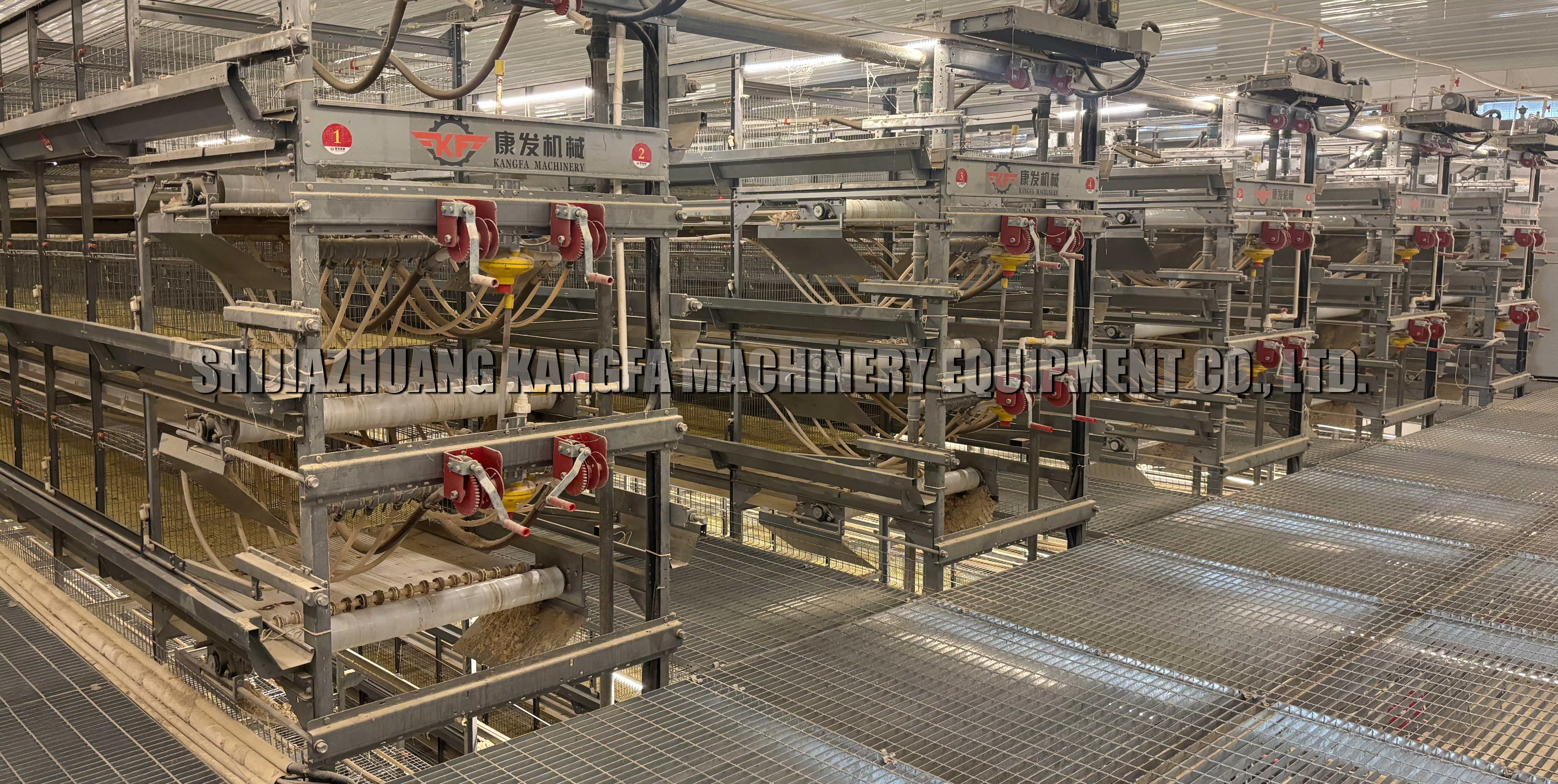 How to Choose Chicken Cage Equipment: Professional Guide & Innovative Solutions