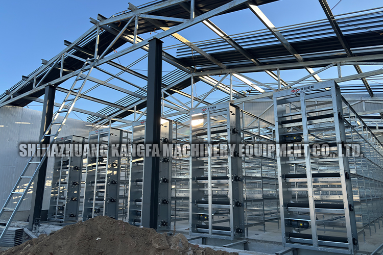 chicken cage Construction Site.jpg