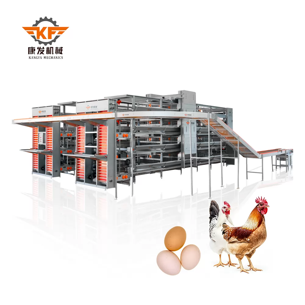 Innovative Chicken Cage Solutions: Driving Efficiency and Sustainability in Poultry Farming Innovative Chicken Cage Solutions: Driving Efficiency and Sustainability in Poultry Farming