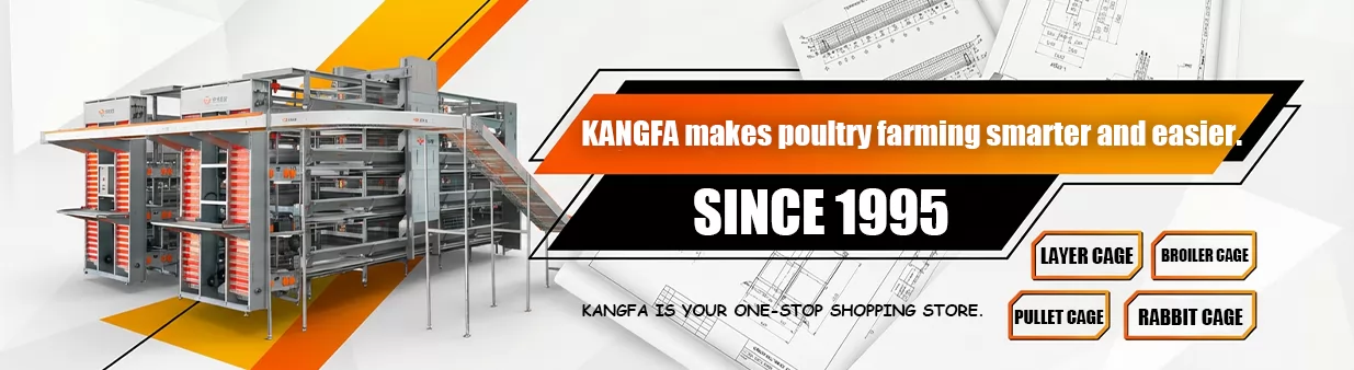 7-Step Guide to Planning a Chicken Farm-Complete Guide from Site Selection to Automation Design | SmartPasture