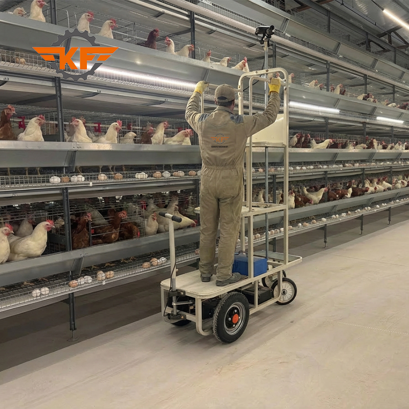 How One Farm Boosted Efficiency by 300% with Automation | SmartPasture Case Study