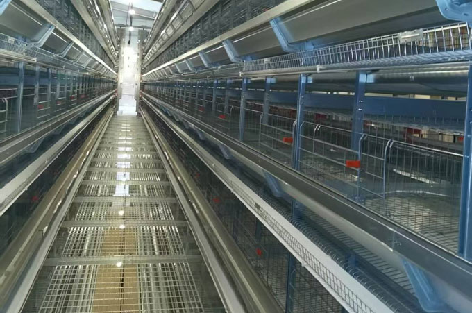 Hot-Dip Galvanized vs. Cold Galvanized Chicken Cages: Why Material Matters?cid=6