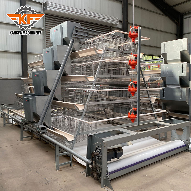 A-Type vs. H-Type Chicken Cages: Which System is Right for Your Farm?cid=6