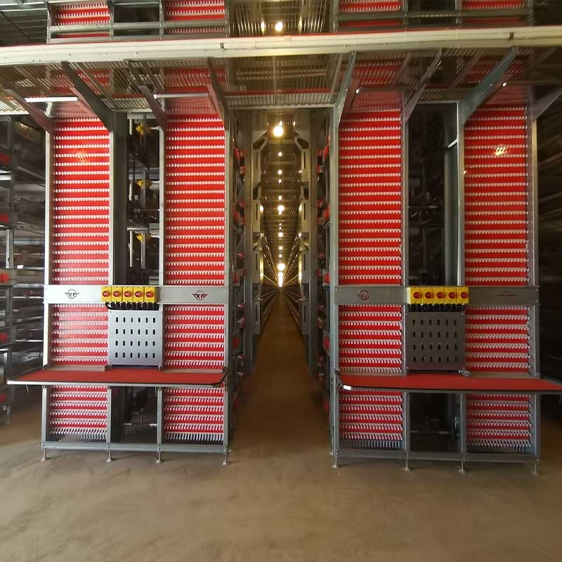 A-Type vs. H-Type Chicken Cages: Which System is Right for Your Farm?cid=6