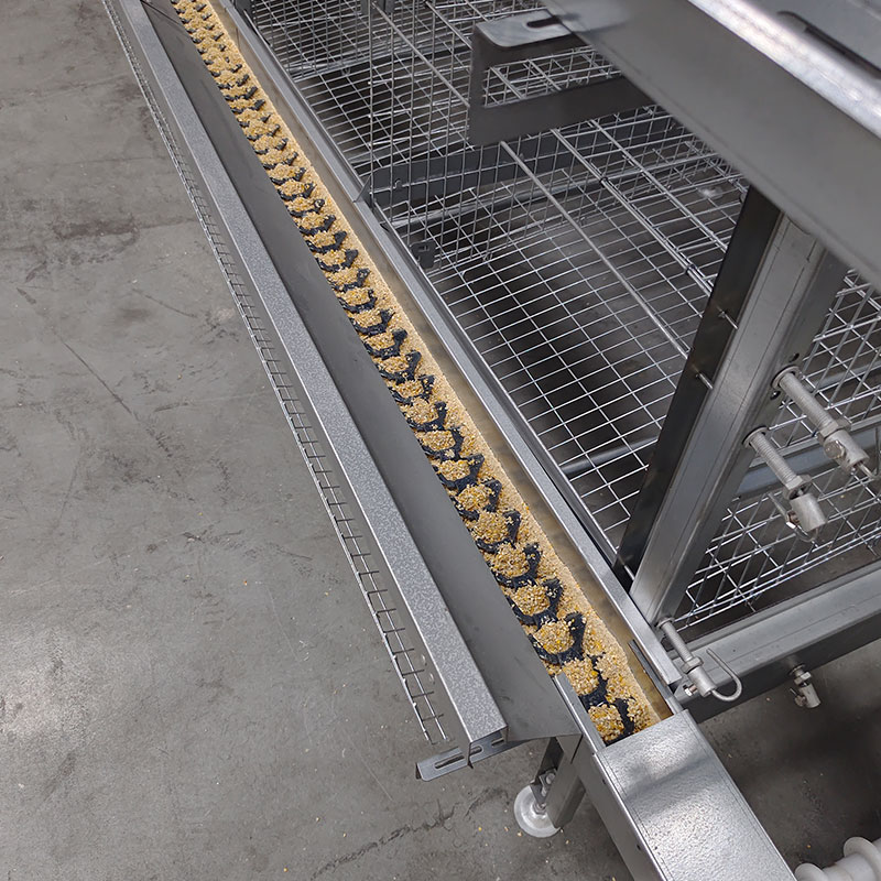 Reducing Feed Waste: The Financial Benefits of Automatic Chain Feeding Systems