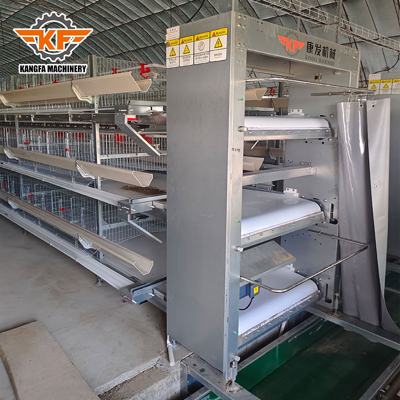 Improving Biosecurity: The Role of Automated Manure Removal in Bird Health