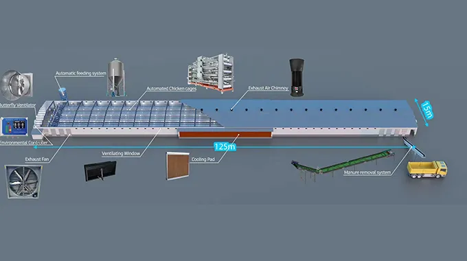 Automatic Feeding System