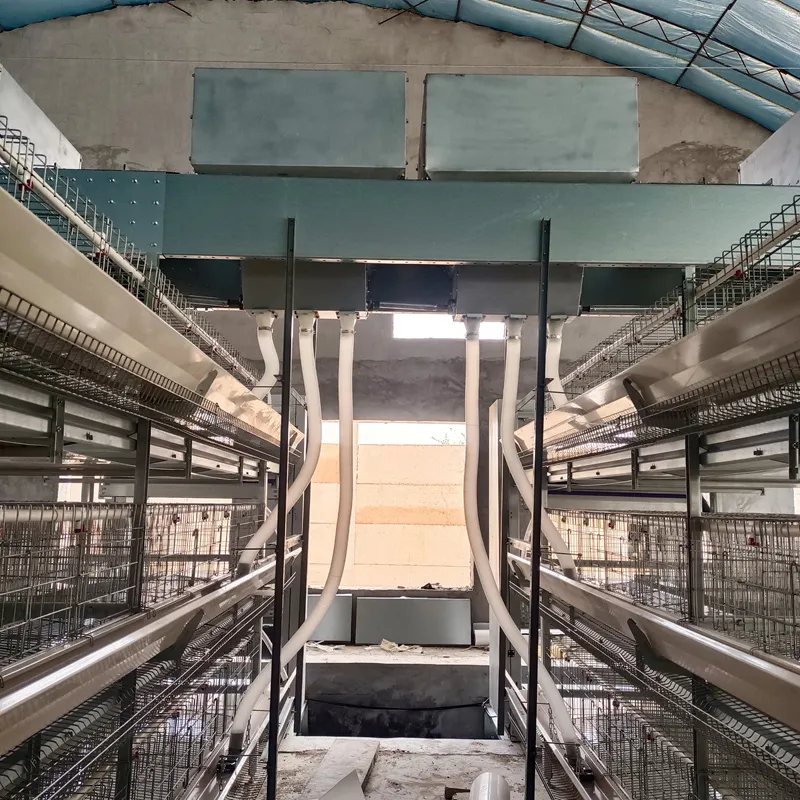 layer chicken cage