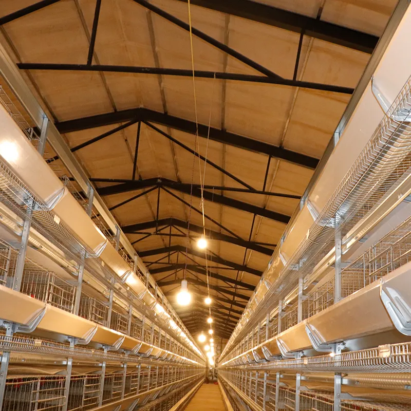 4 Tire chicken cage