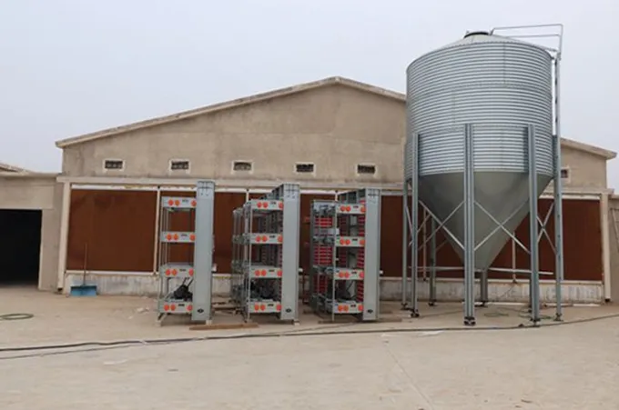 Notes on building chicken coops