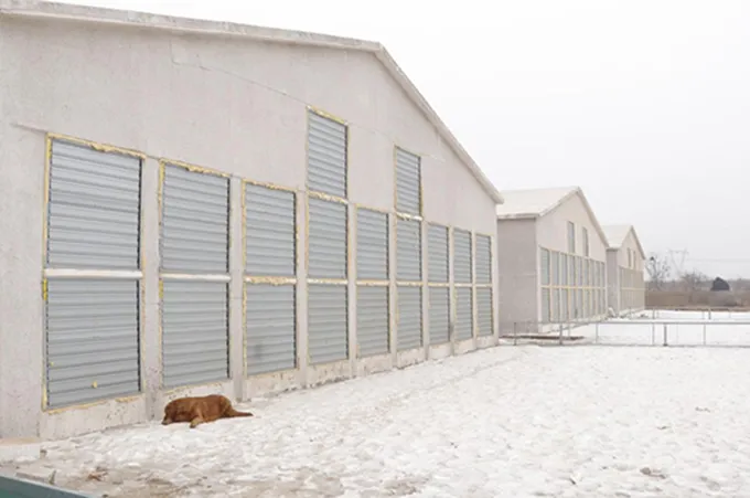 Chicken Coop Temperature Notes