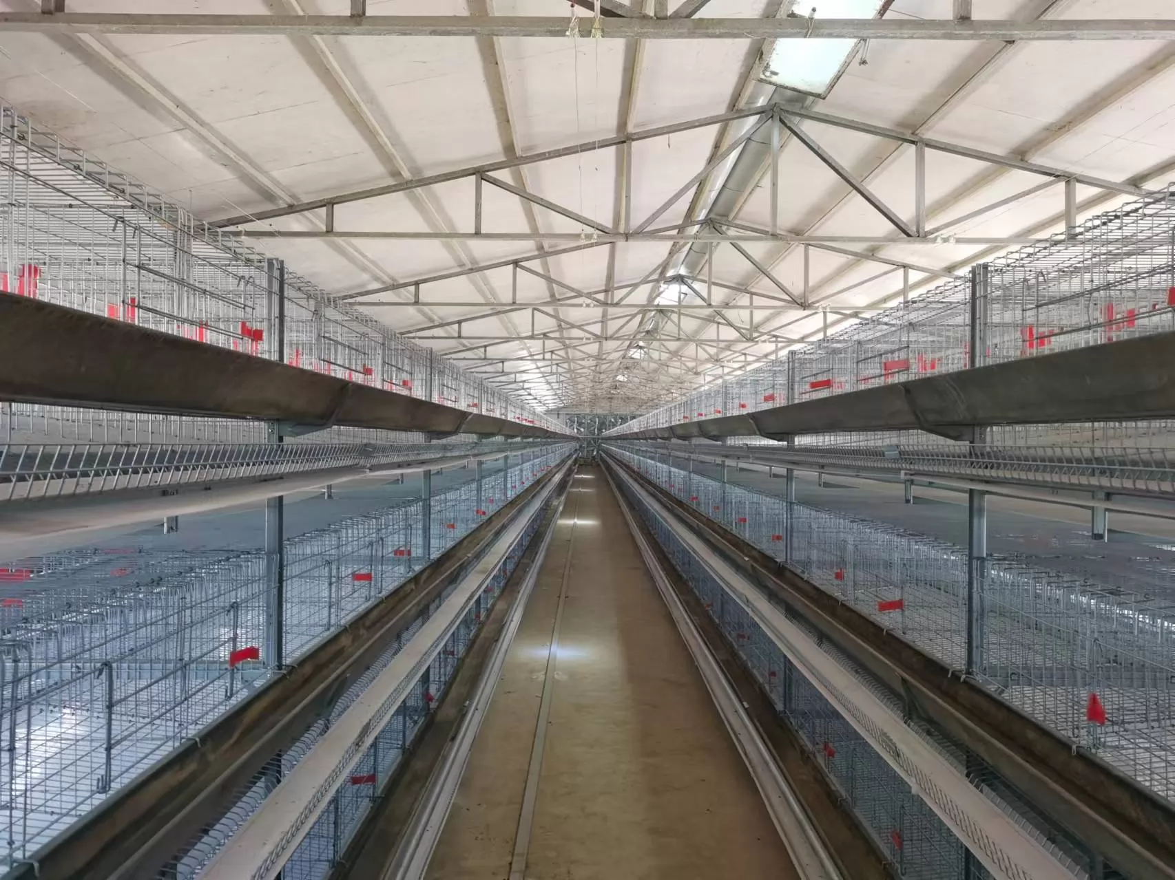 What environmental control is needed for laying hen cage farming?