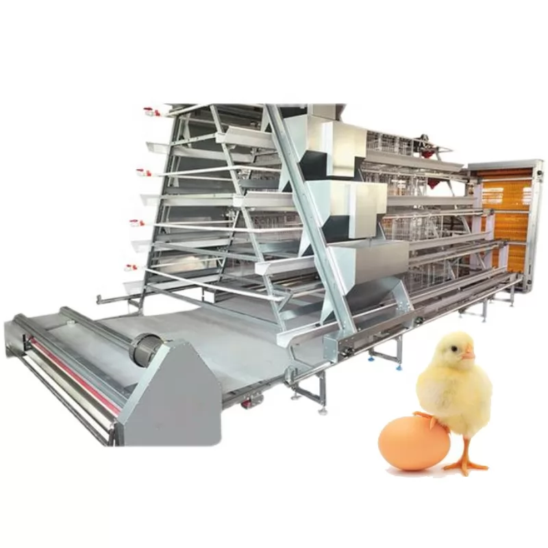 Precautions for Egg Chicken Cage Care