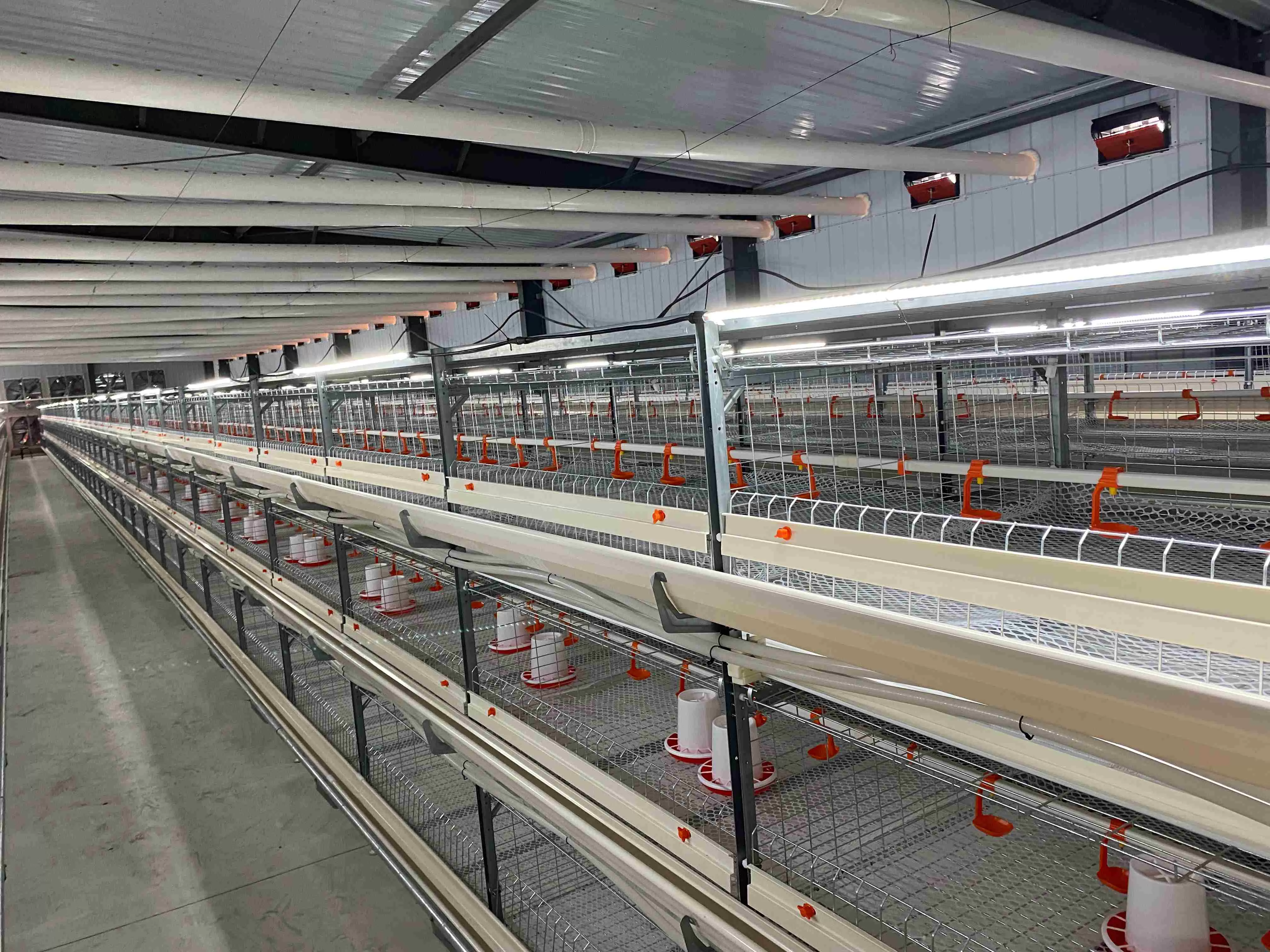 Common Metal Chicken Cage Material Classification and Characteristics