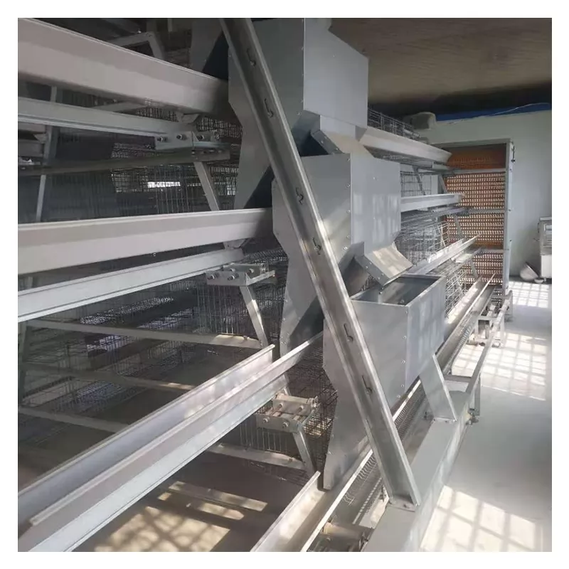 Feeding Methods in Automatic Laying Hen Cage Systems