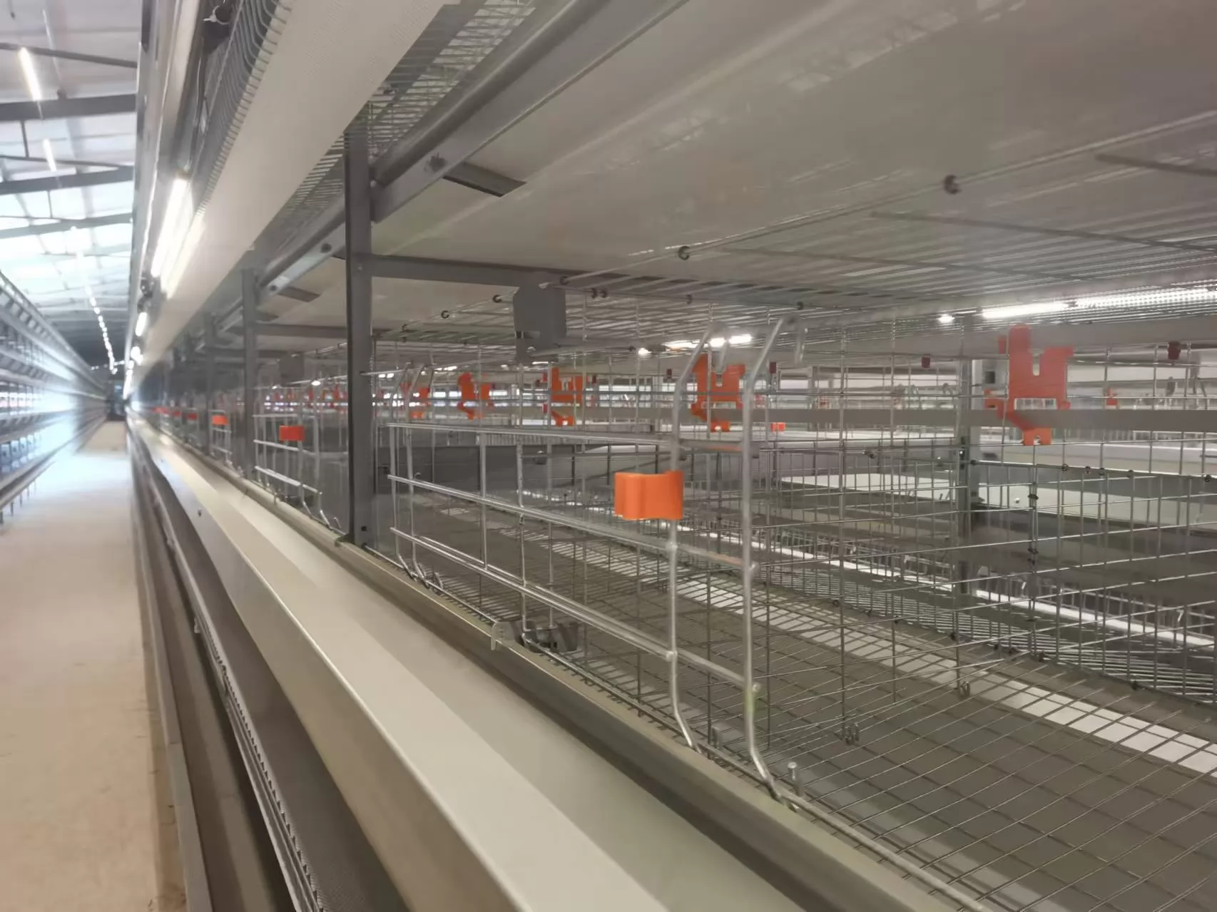 Which Material Is Better for Chicken Cages? Galvanized, Plastic, or Stainless Steel?