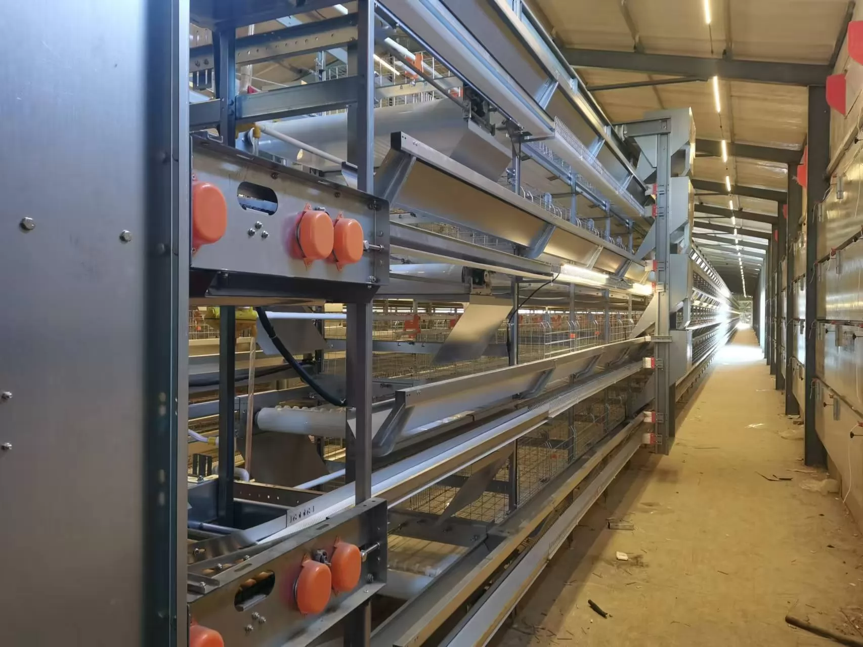 Boost Your Farming Efficiency! How High-Quality Chicken Cages Reduce Losses and Increase Productivity