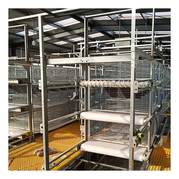 How Automated Chicken Cages Improve Efficiency in Large-Scale Poultry Farms