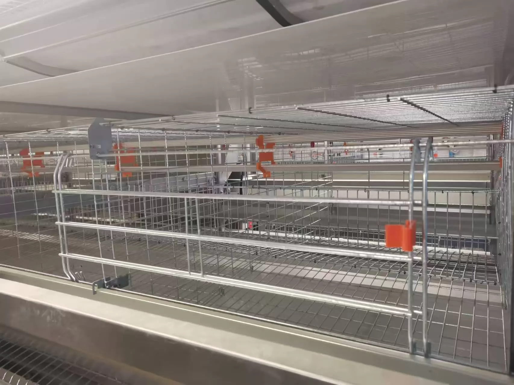 Hot-Dip Galvanized vs. Electro-Galvanized vs. Stainless Steel: Which is Best for Poultry Farming?