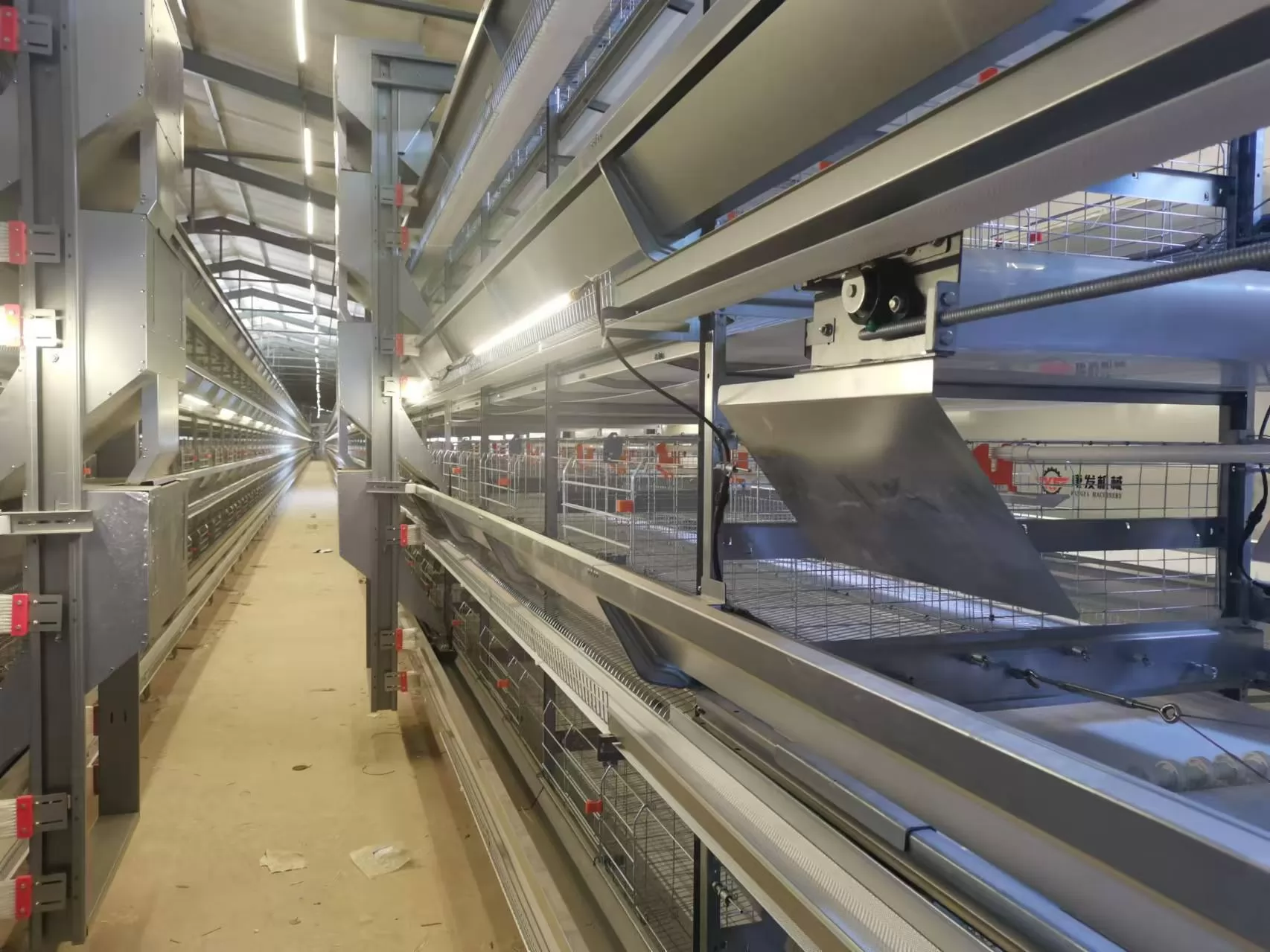 Kangfa Chicken Cage: Export Trends and Choosing the Right Poultry Equipment Supplier in China