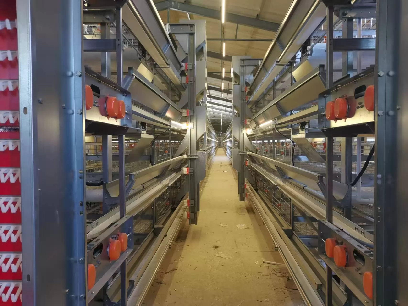 How Cage Design Affects Egg Production in High-Density Poultry Farming