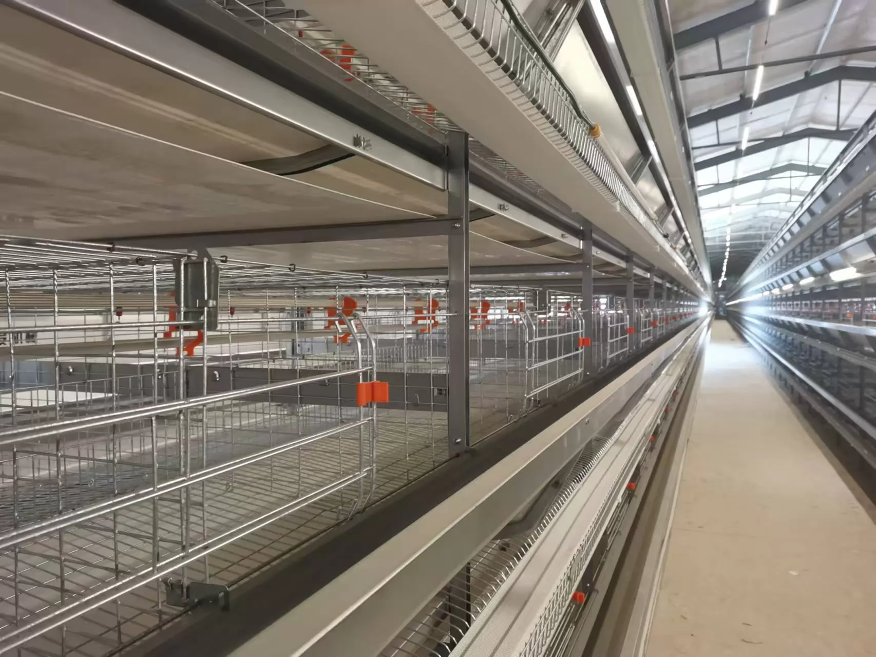Best Automatic Chicken Cage Systems to Buy in 2025