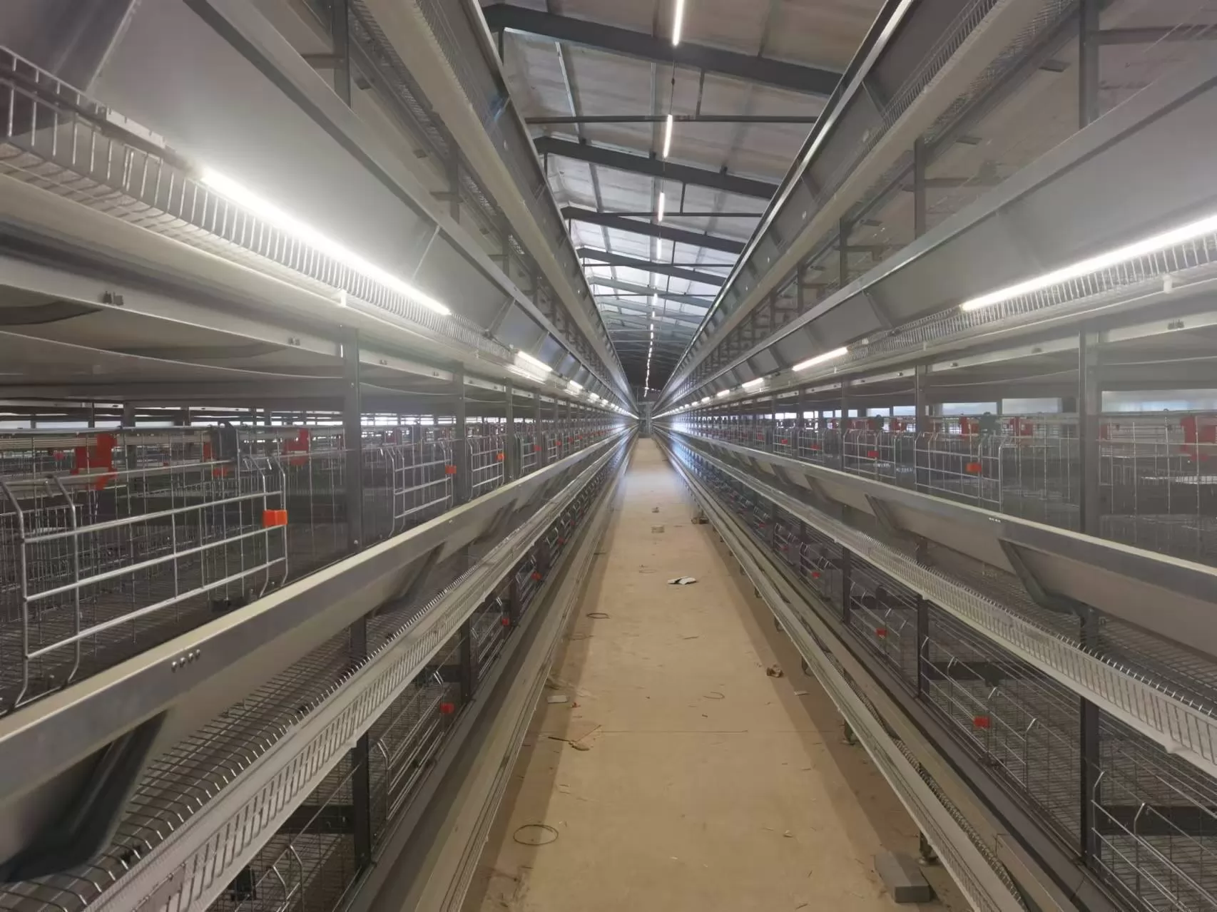 Benefits of Automated Chicken Cage Systems for Poultry Farmers