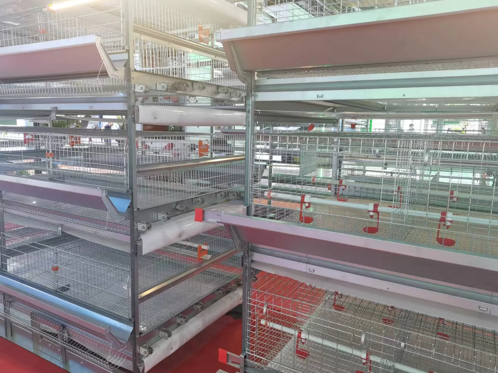 From Traditional Poultry Farming to Smart Chicken Houses: The Evolution of Cage Equipment