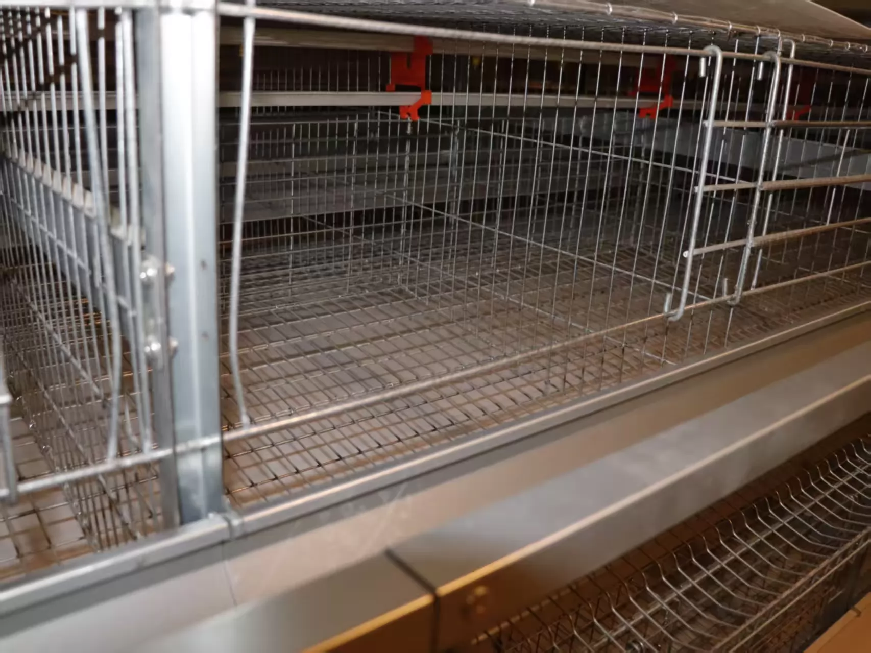 Cooling and Drinking Water Optimization in High-Density Chicken Cage Systems