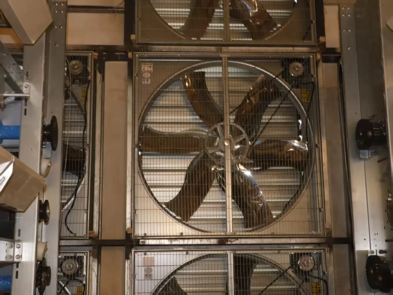 Key Design Points for Poultry Cage Ventilation Systems