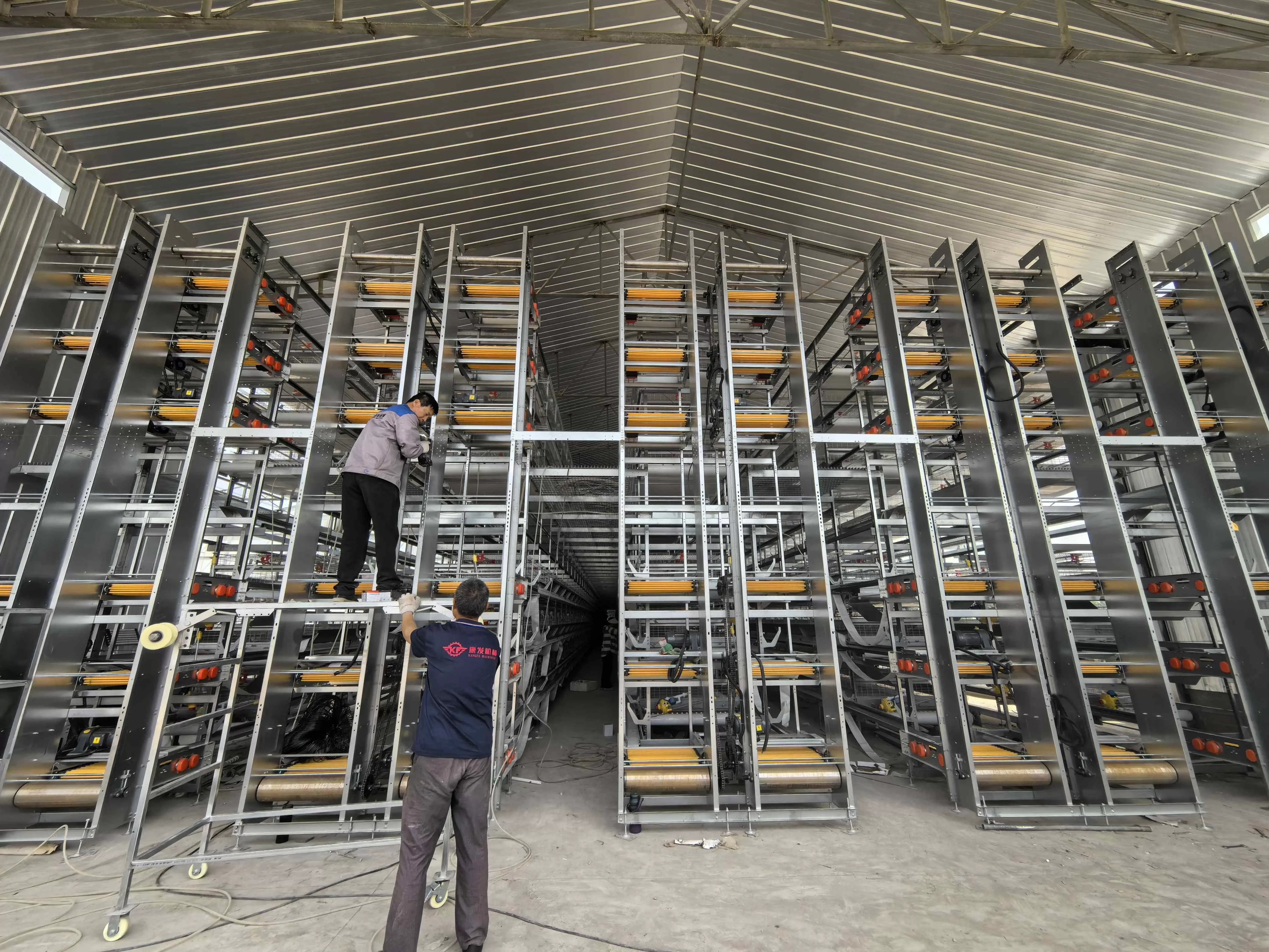 Why Modern Poultry Farming Depends on Chicken Cages
