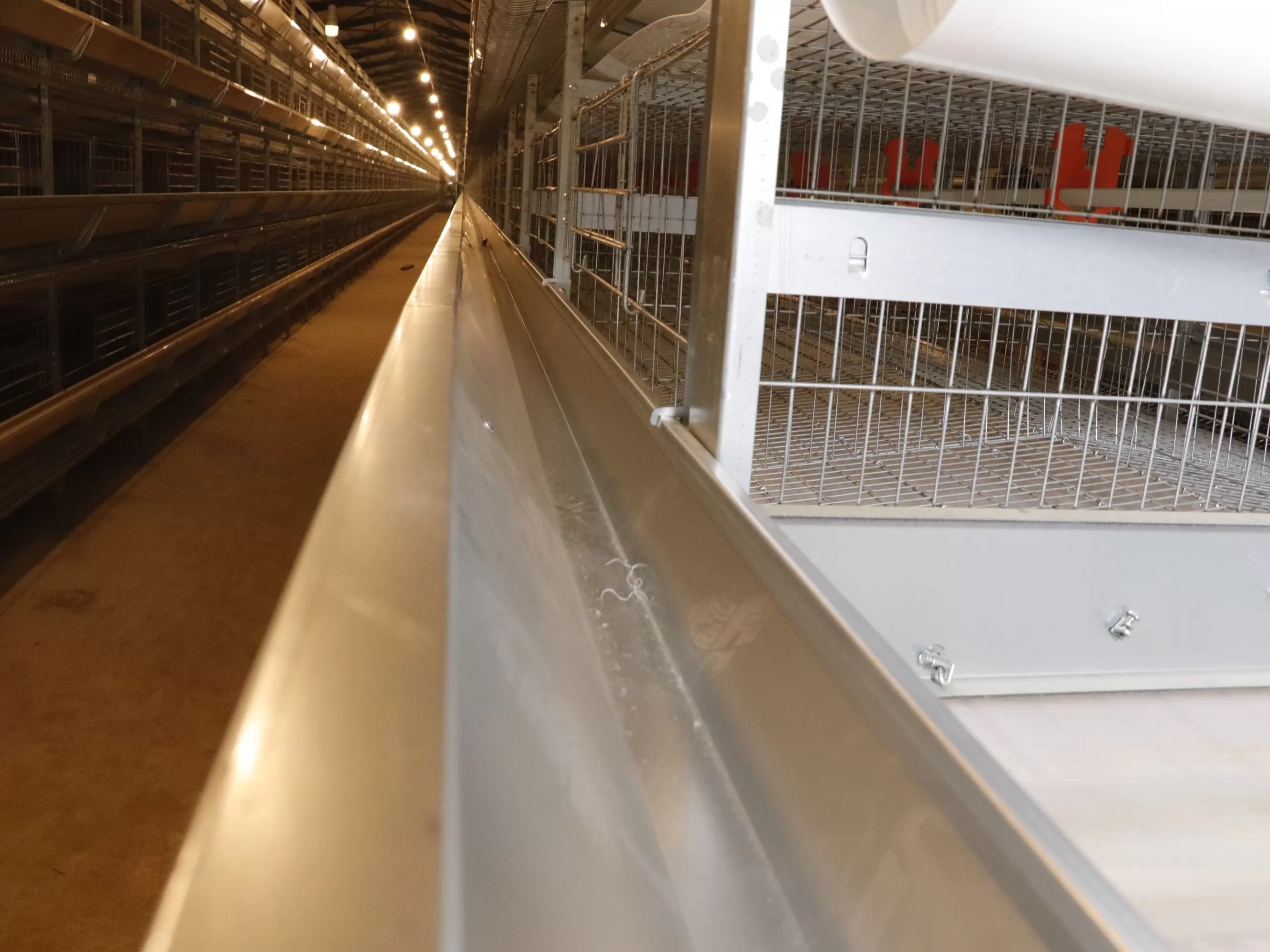 How to Choose the Right Chicken Cage for Your Poultry Farm