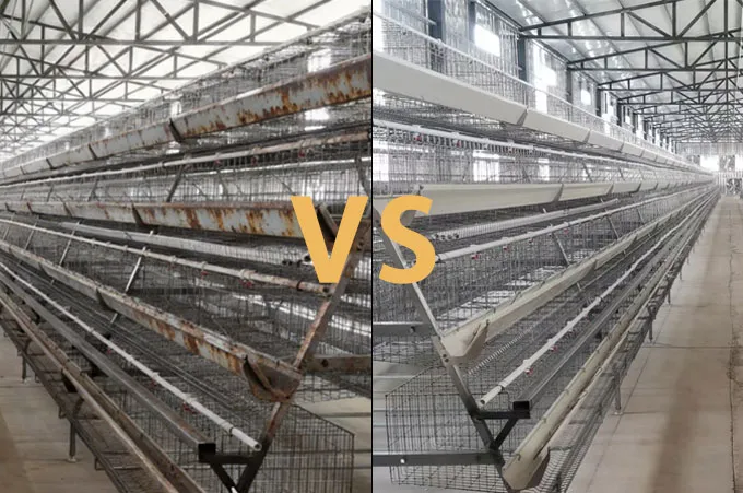 Hot-Dip Galvanized vs. Cold Galvanized Chicken Cages: Why Material Matters?
