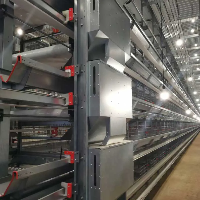 Automatic feeding system