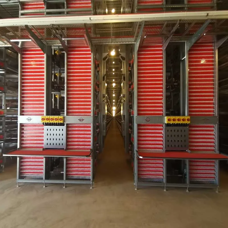 Automatic-Egg-Collection-System