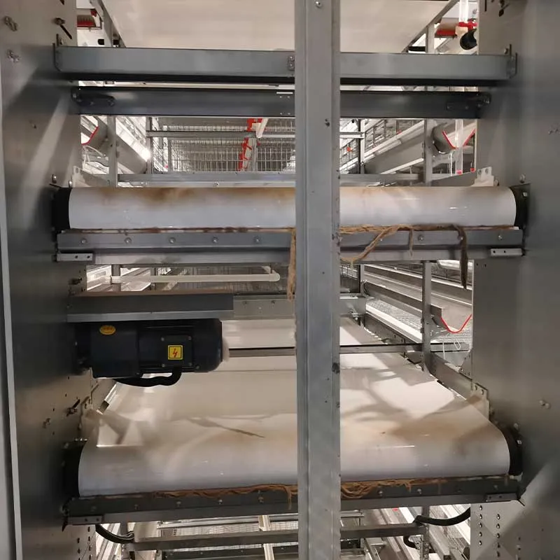 Automatic-manure-cleaning-system