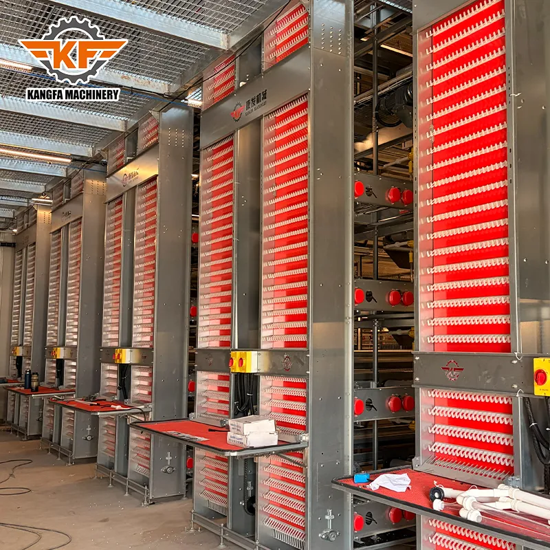Automatic Chicken Cage Systems for Efficient Poultry Farming | Kangfa Guide Automatic Chicken Cage Systems for Efficient Poultry Farming | Kangfa Guide