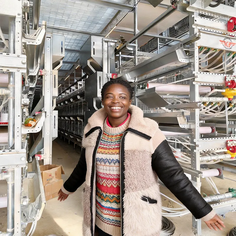 2026 Tanzania Poultry Market Outlook: Why Farmers are Switching to Automatic Cages 2026 Tanzania Poultry Market Outlook: Why Farmers are Switching to Automatic Cages