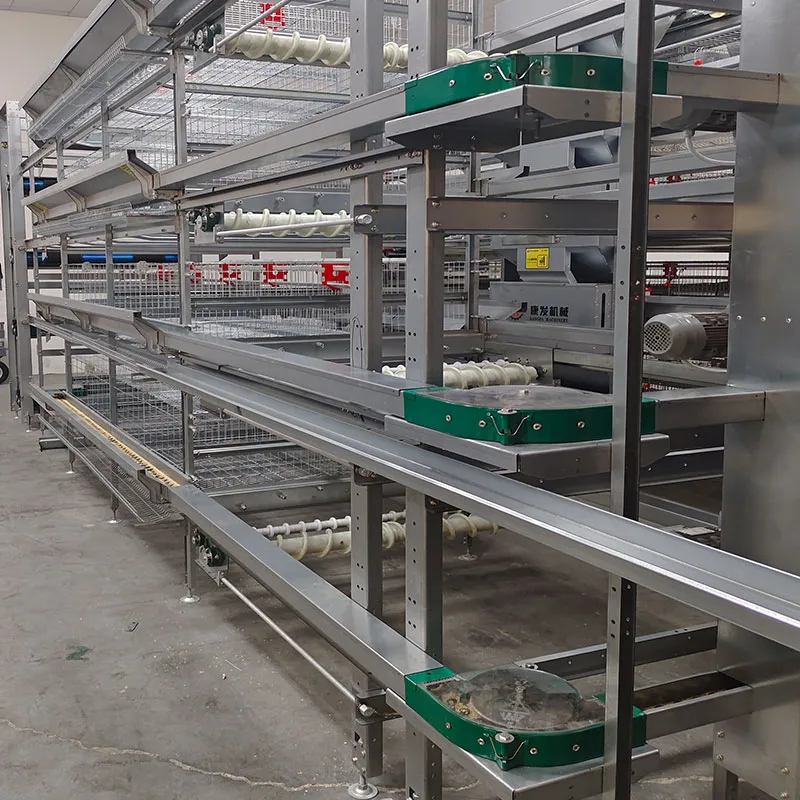 Reducing Feed Waste: The Financial Benefits of Automatic Chain Feeding Systems Reducing Feed Waste: The Financial Benefits of Automatic Chain Feeding Systems
