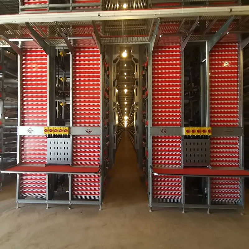 Scaling Up: Why H-Type Automatic Cages are Vital for 50,000+ Bird Farms Scaling Up: Why H-Type Automatic Cages are Vital for 50,000+ Bird Farms